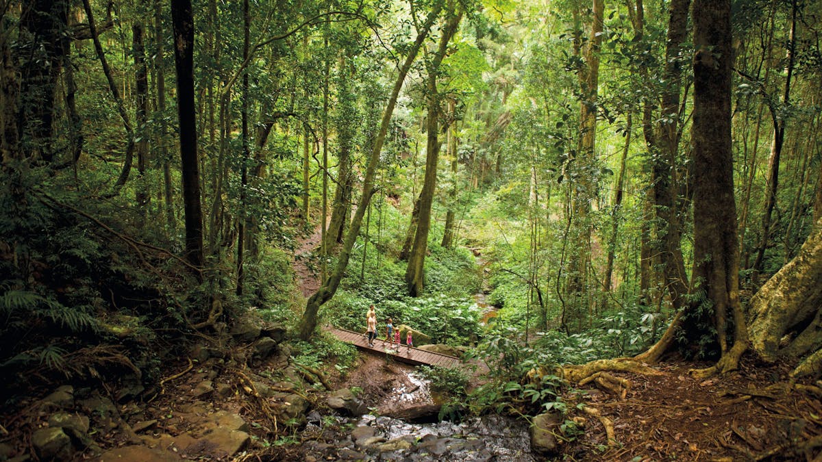 Bunya Mountains