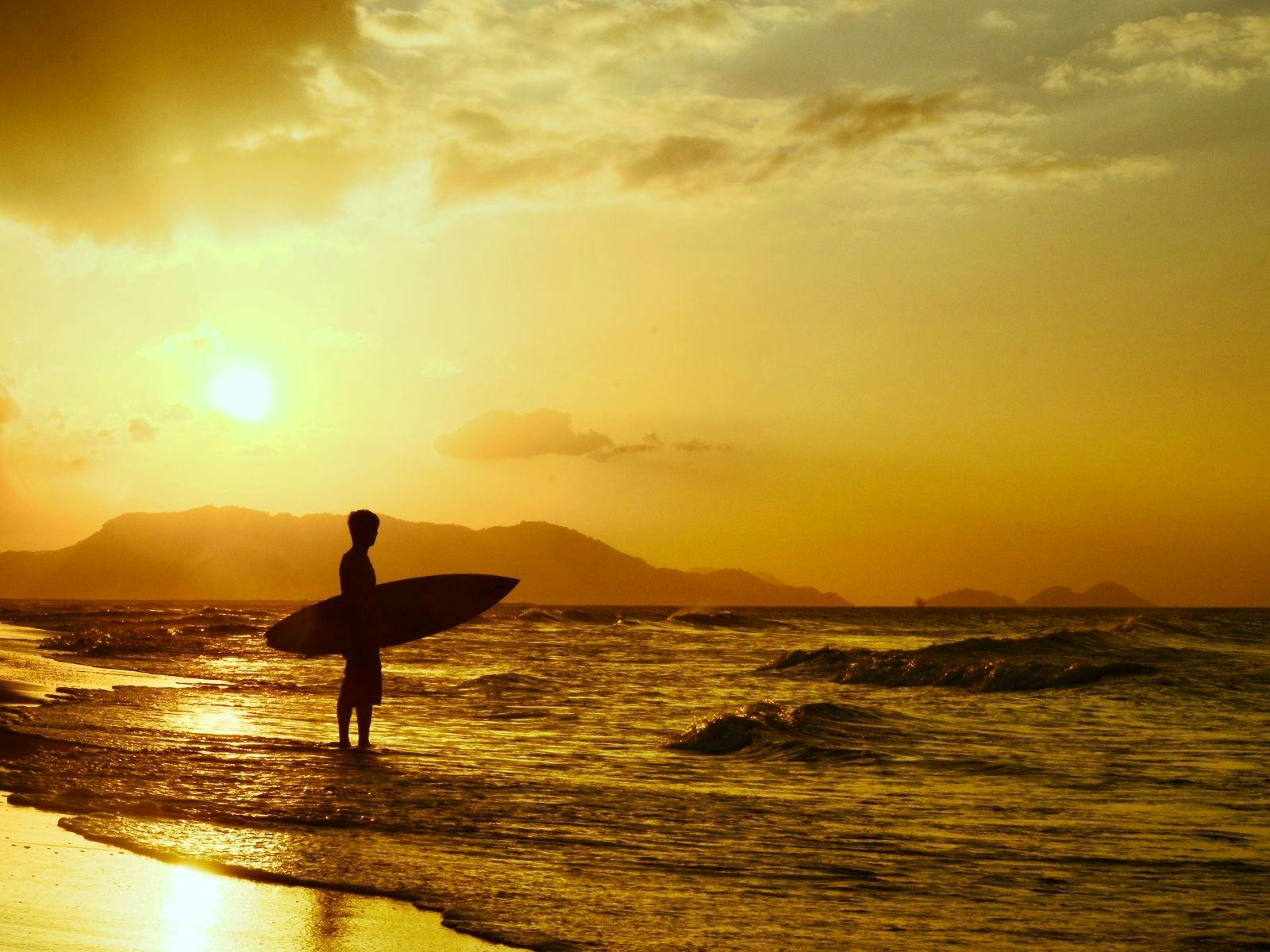 The Sounds of Summer a Beach Boys Tribute