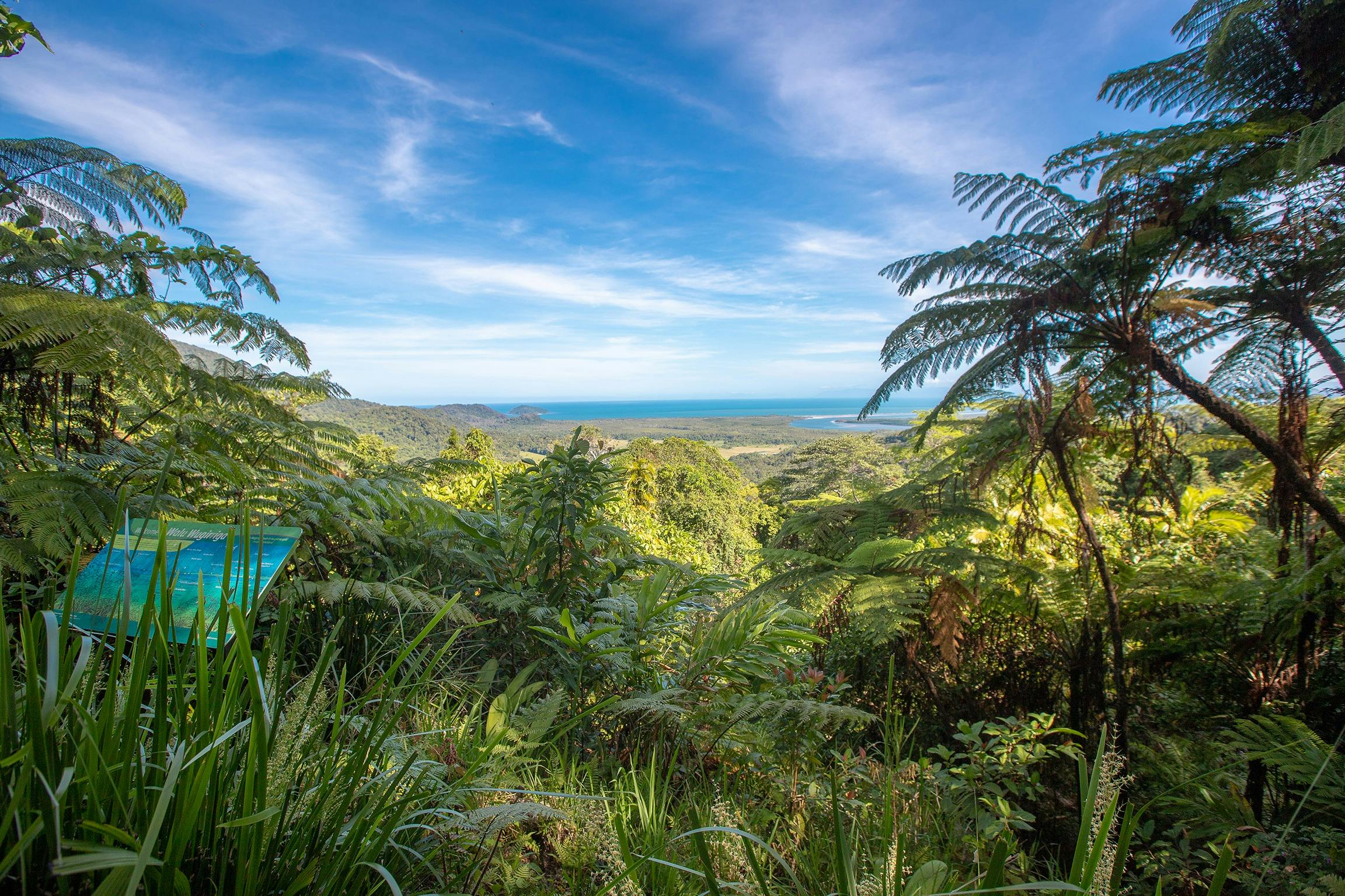 Mount Alexandra Lookout