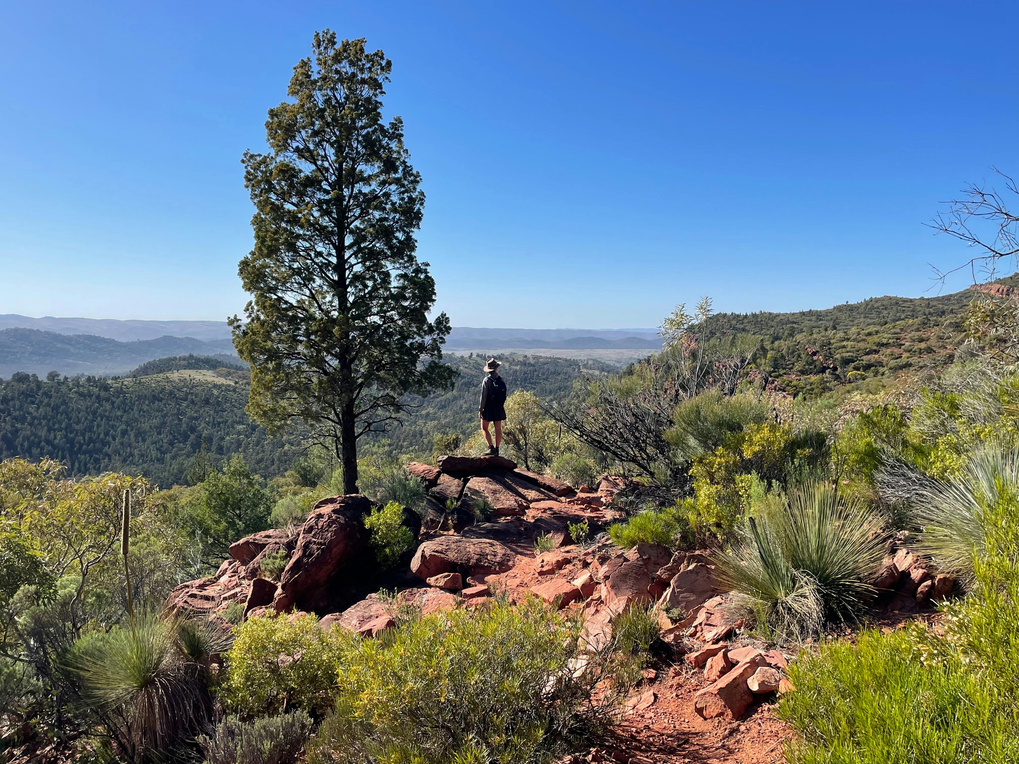 On the way to Tanderra Saddle
