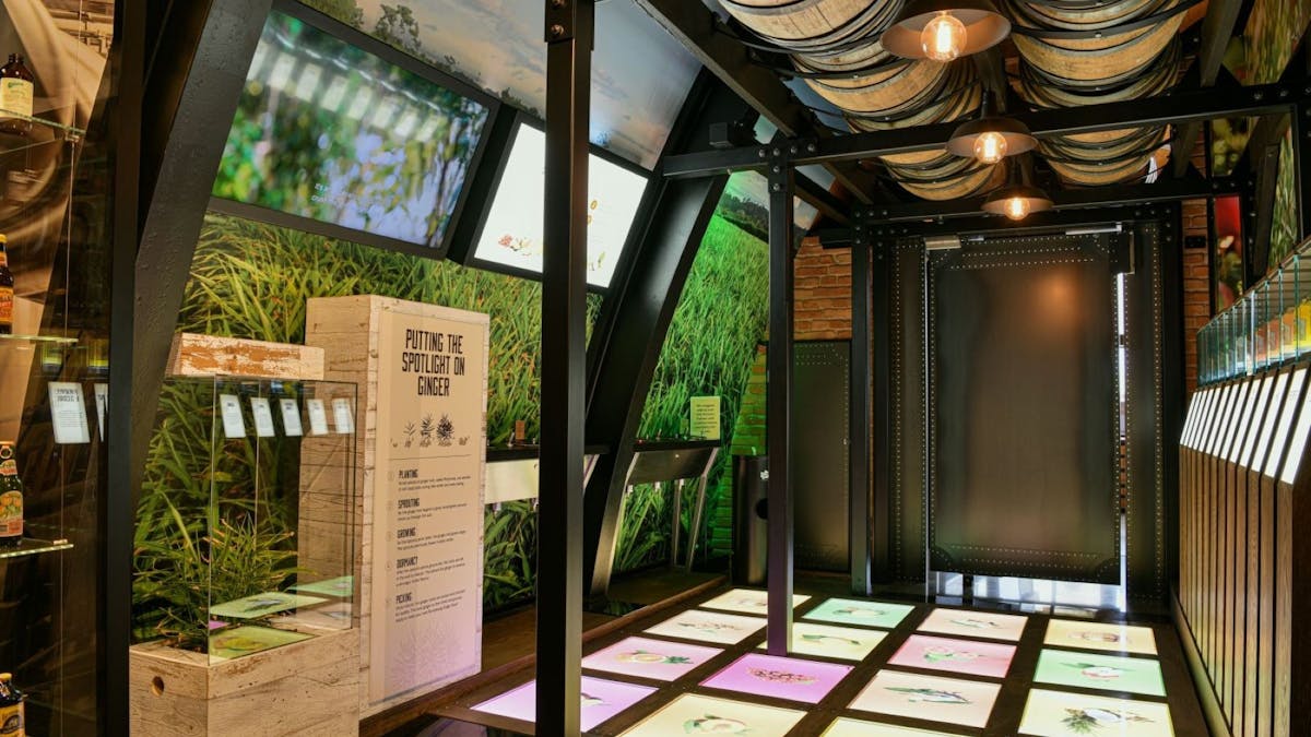 Discover flavours hands-on in the interactive sensory gallery at Bundaberg Brewed Drinks Barrel.