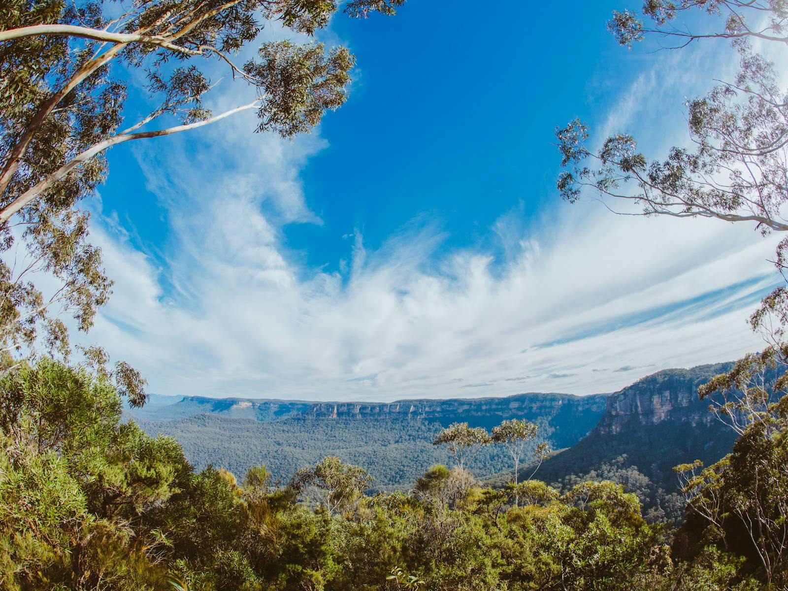 Blue Mountains