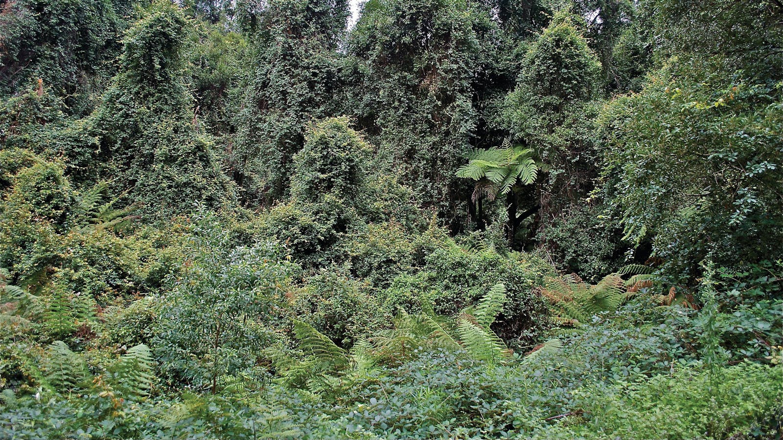 Lind National Park