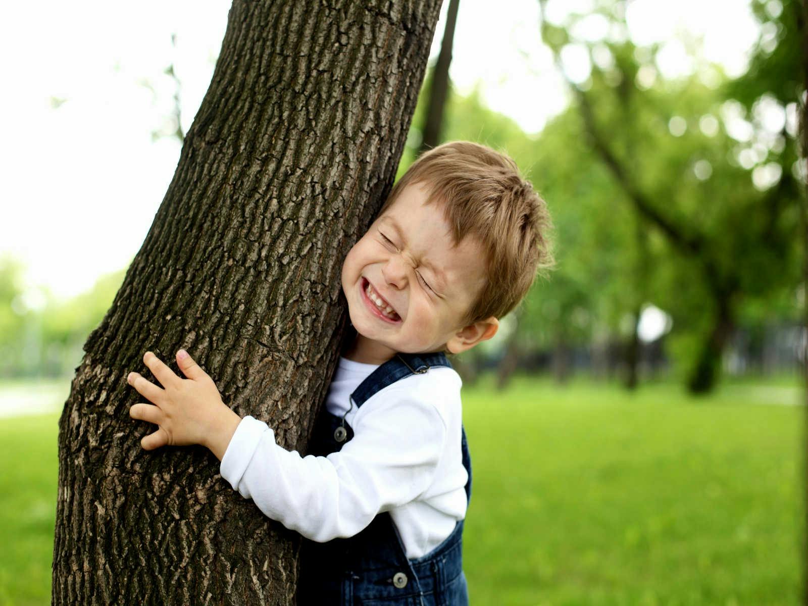 Включи рядом ребенок. Ребенок обнимает дерево. Дети около дерево. Ребенок возле дерева. Мальчик около дерева.