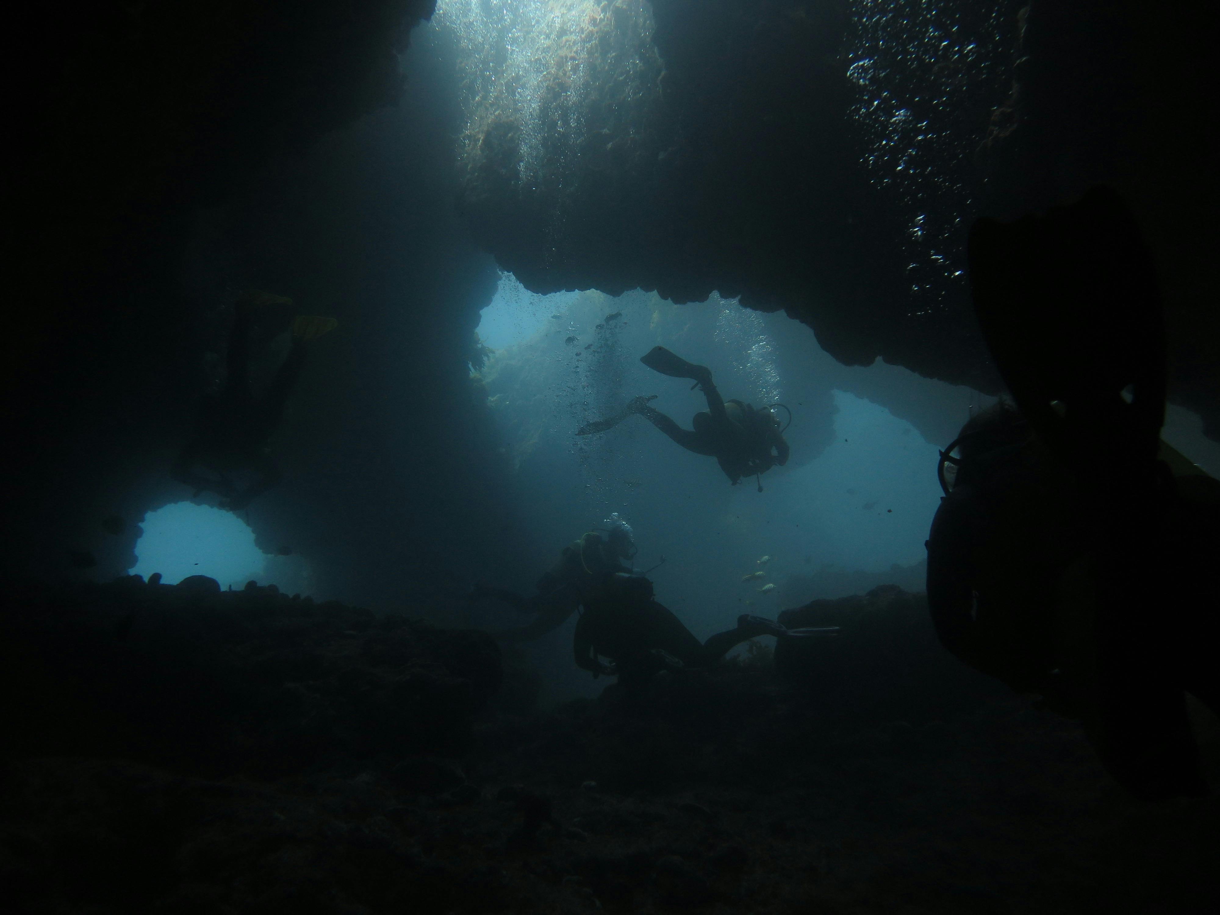 Bucket List Diver, Rottnest, Western Australia