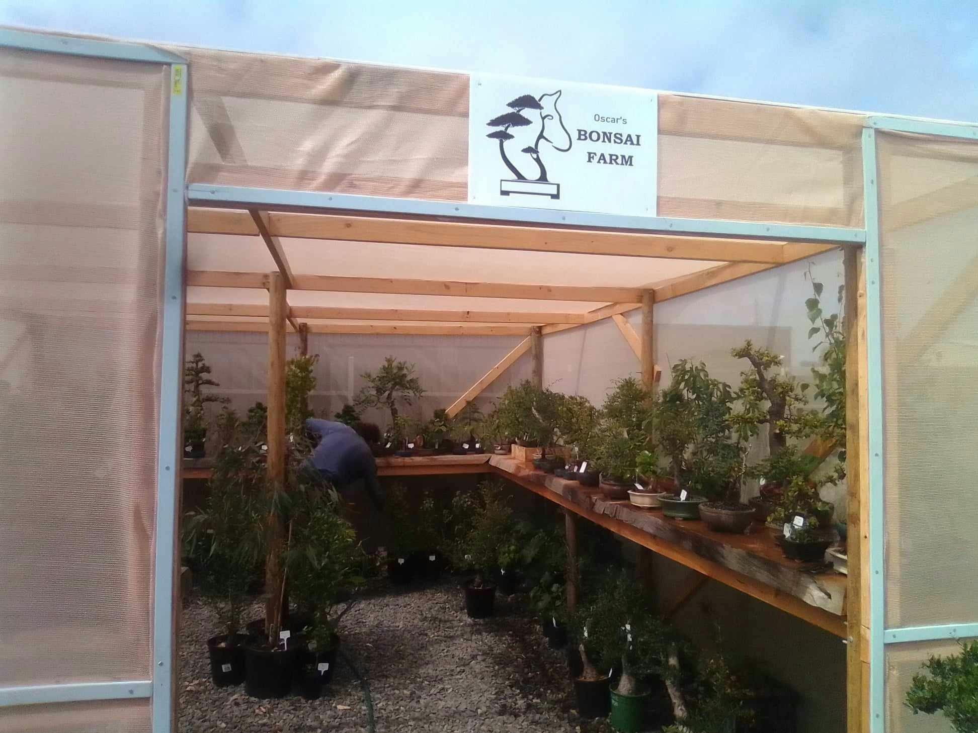 Oscar's Bonsai Farm