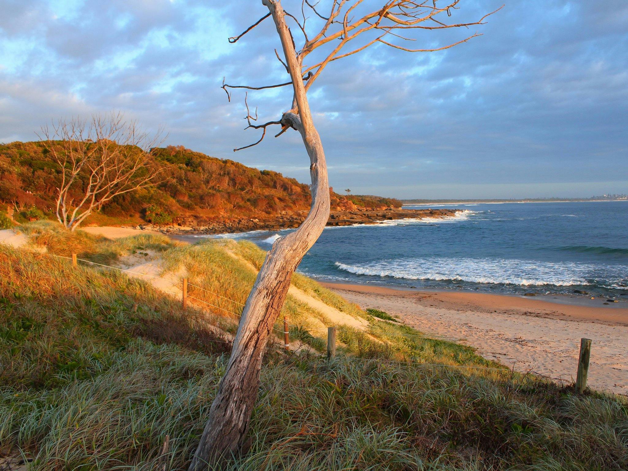 Looking across Angourie Beach to the ‘Life and Death’ rocks.