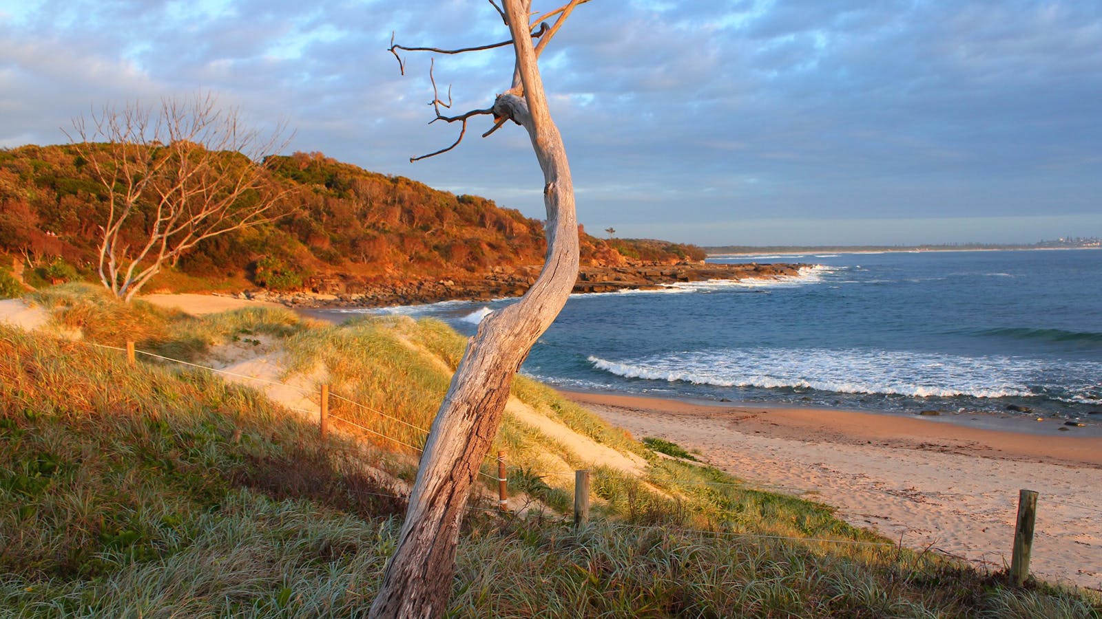 Angourie Beach