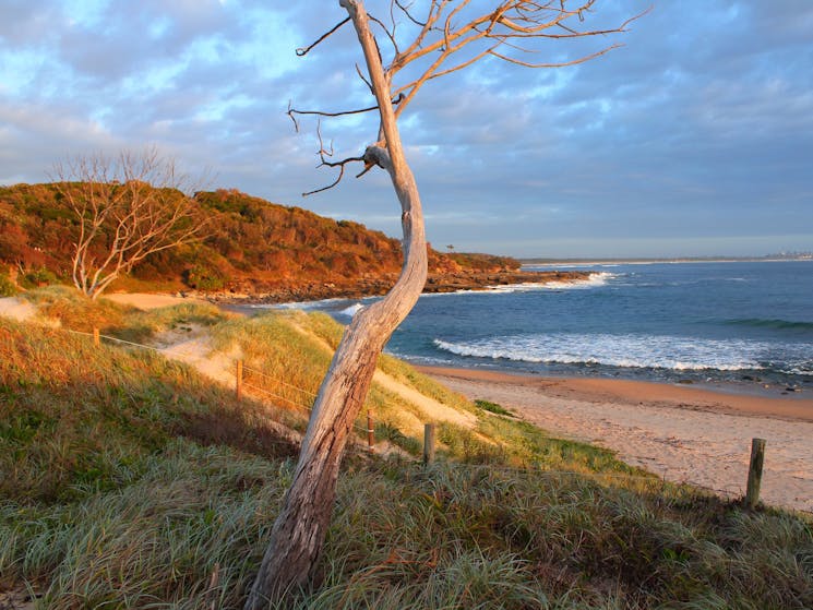 Looking across Angourie Beach to the ‘Life and Death’ rocks.