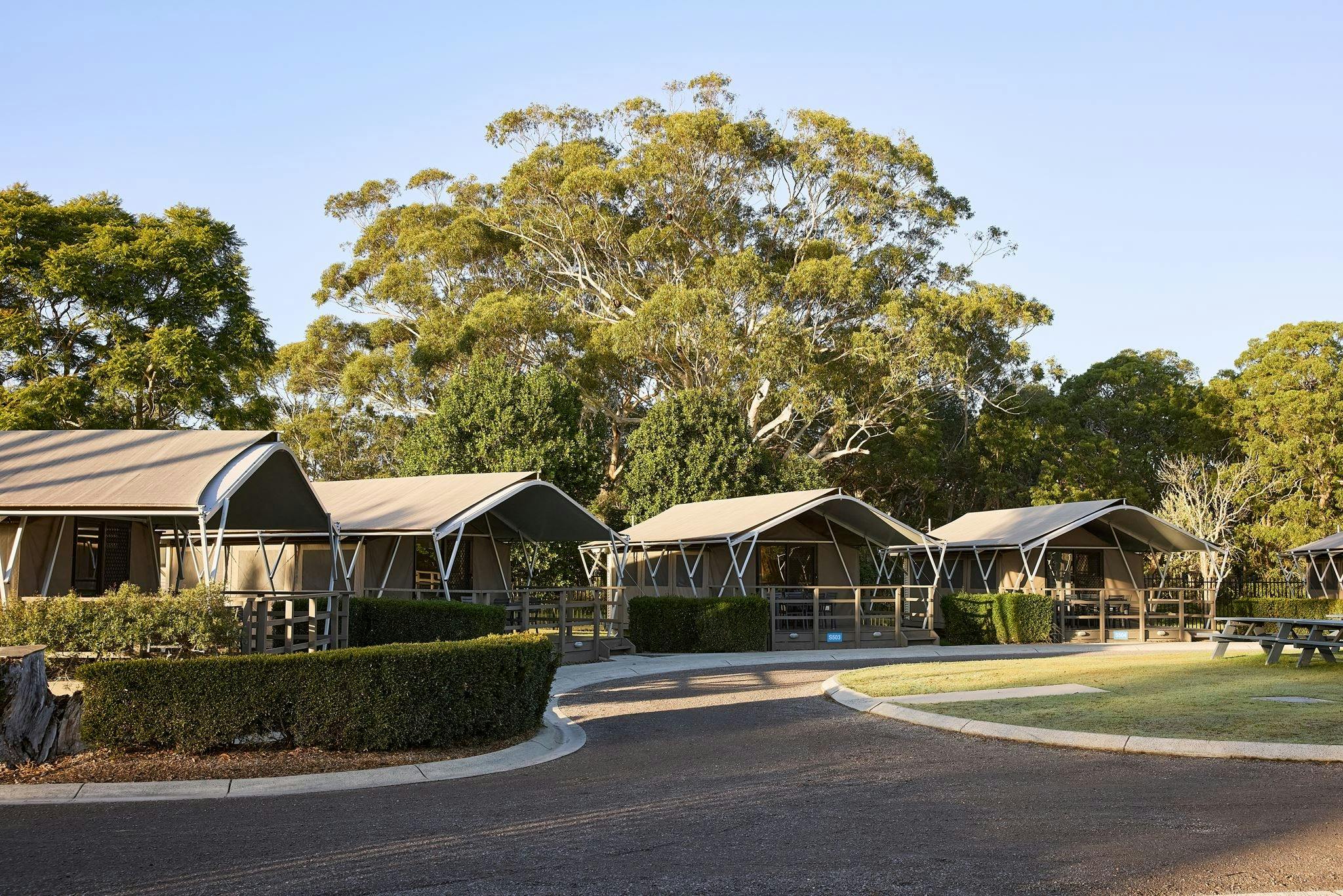 Safari tent