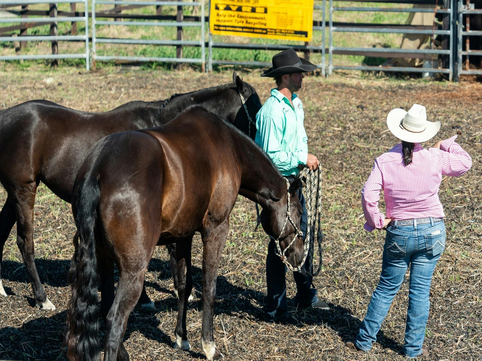 Scenic Rim Farming Expo
