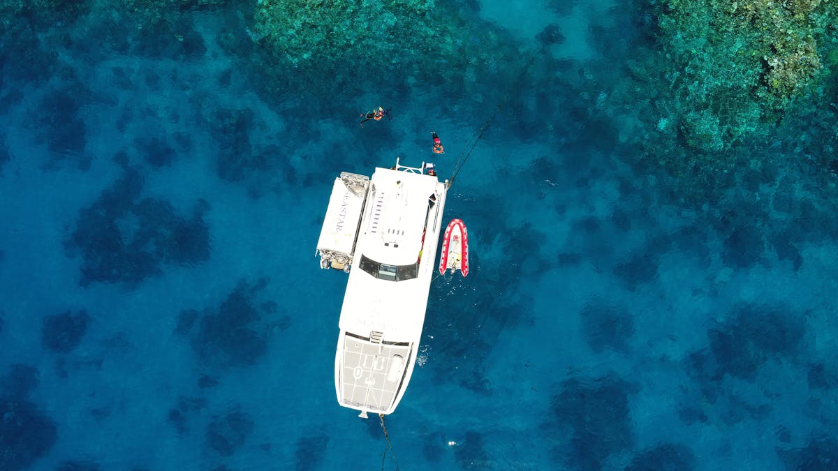 Overhead view of snorkelling