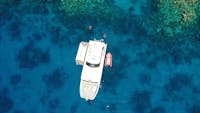 Overhead view of snorkelling