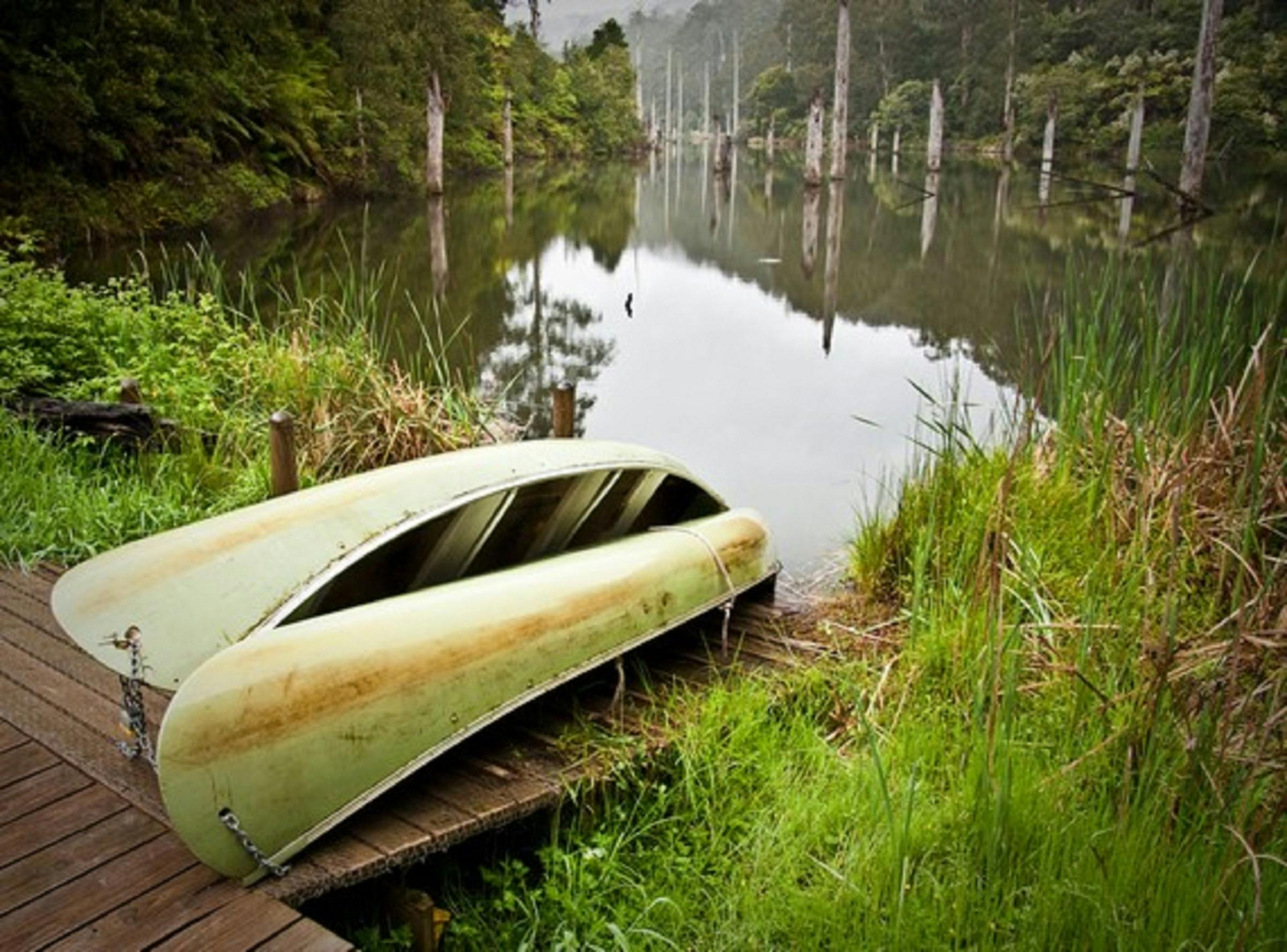 Otway Eco Tours