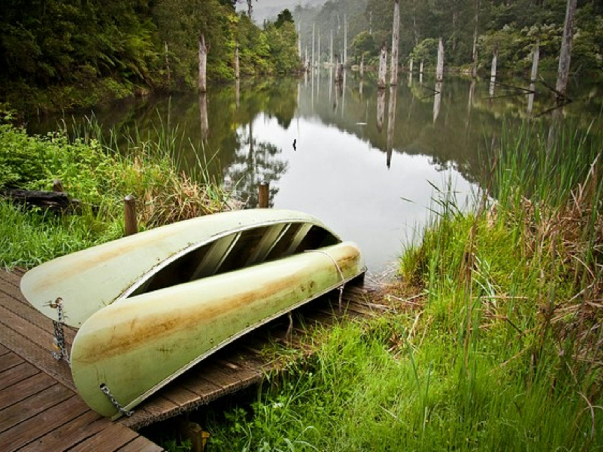 Boats on the side of a lake