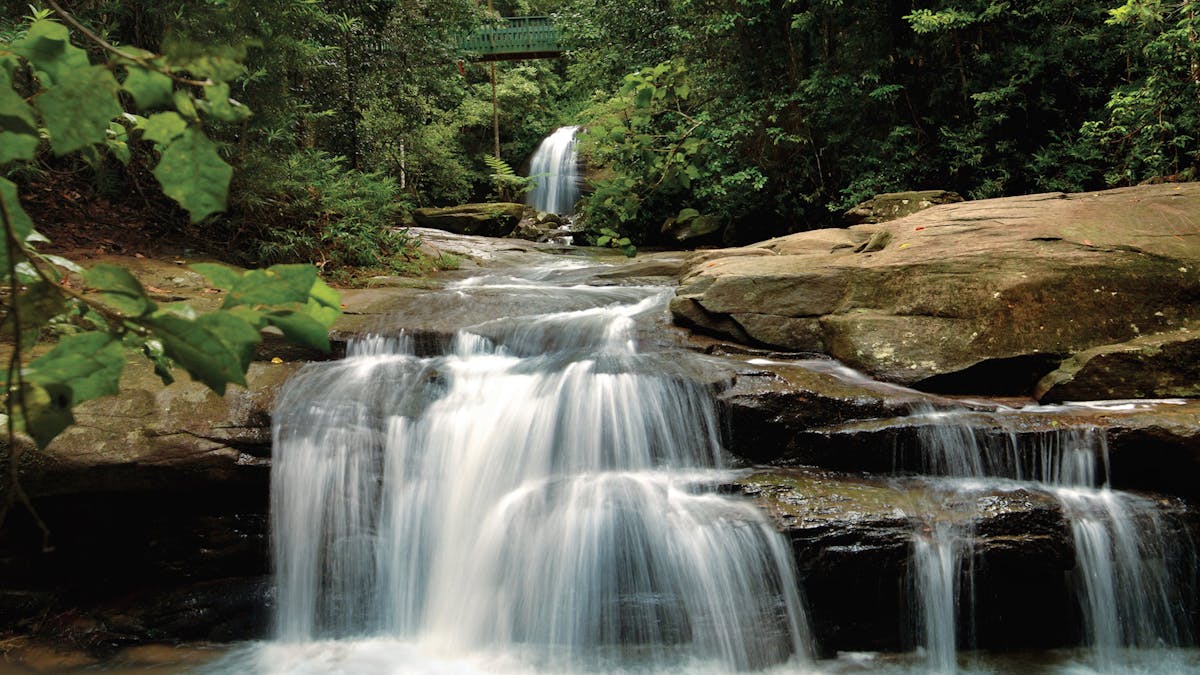 Buderim or Serenity Falls Buderim or Serenity Falls