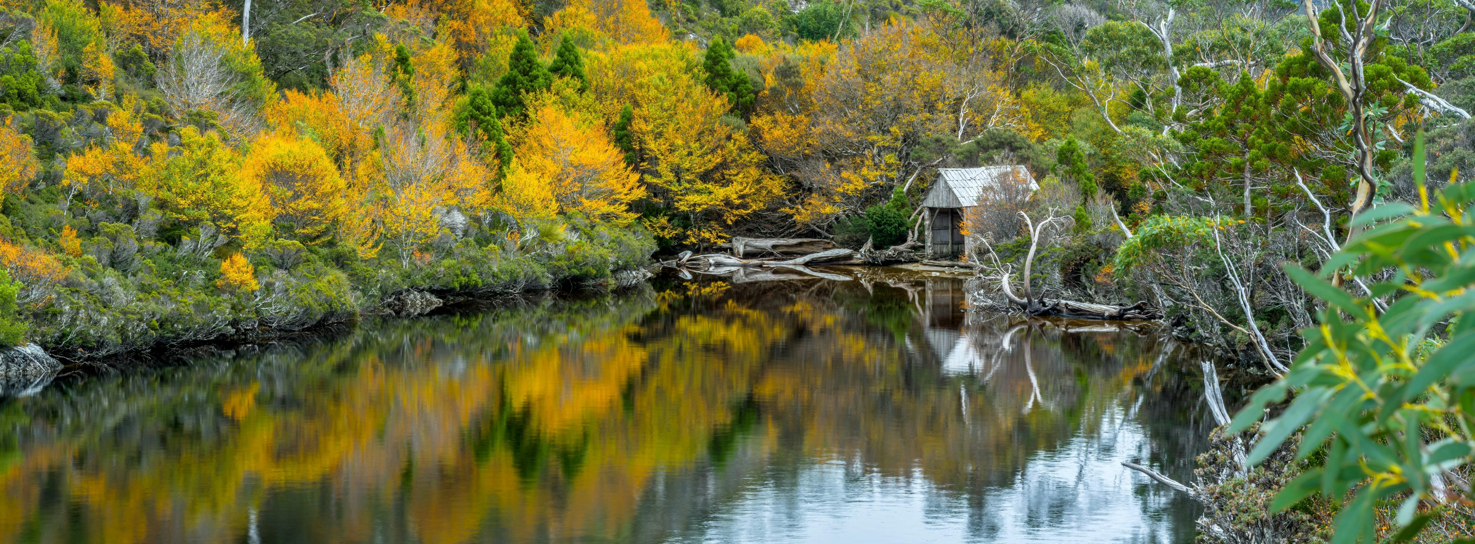 Crater Lake boartshed in fagus at Cradle Mountain