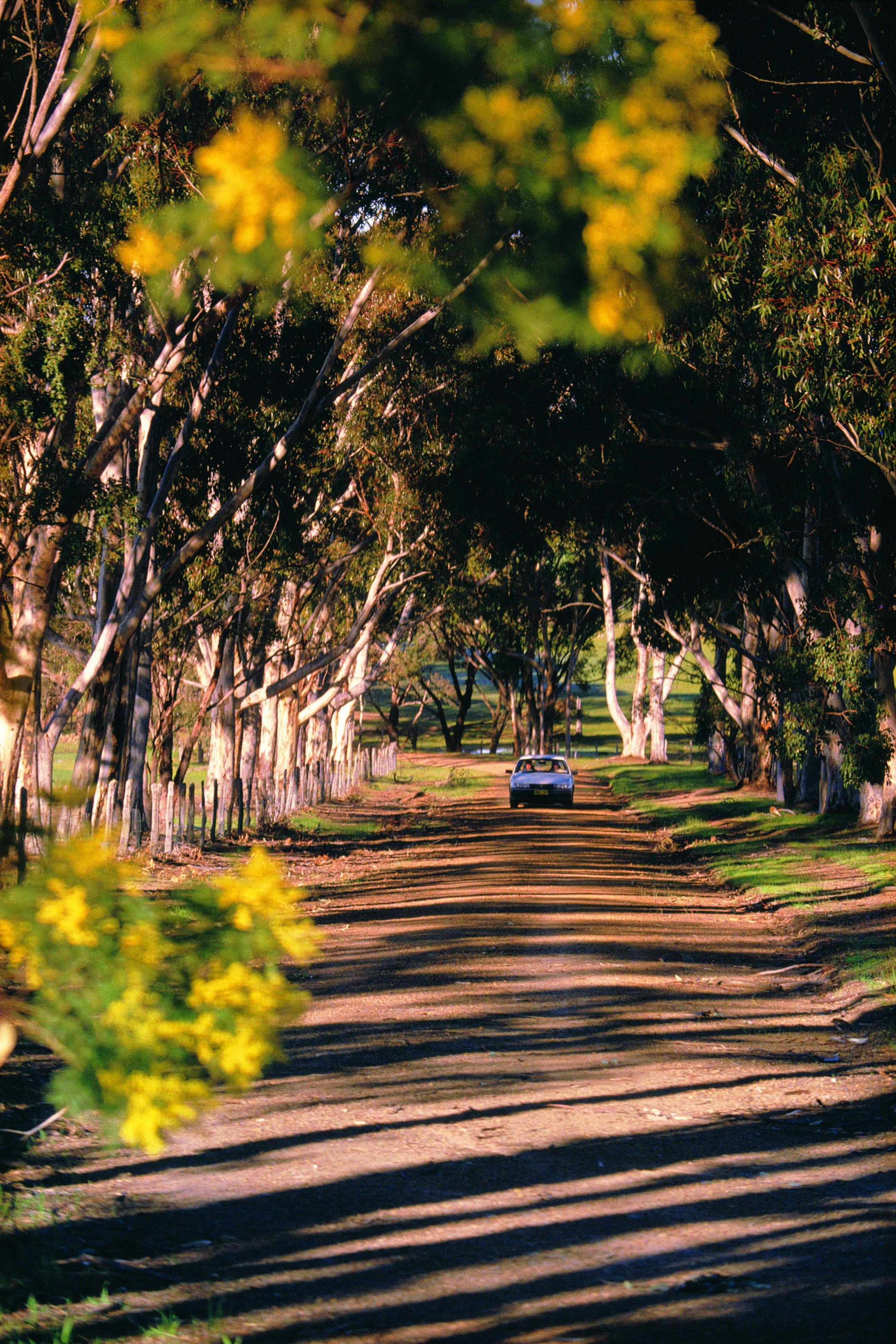 Destination - Tourism Western Australia