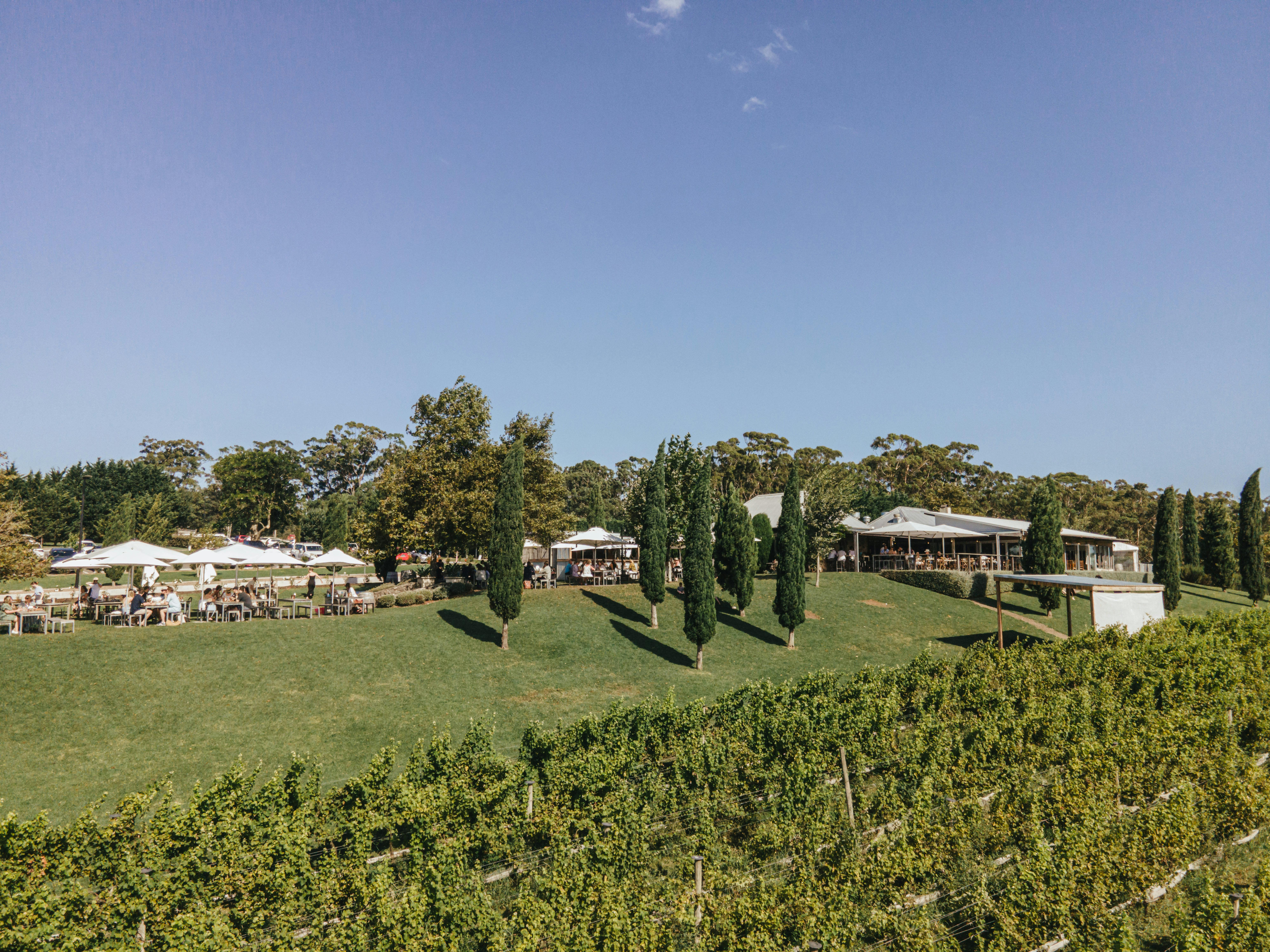 Cupitt's Estate Ulladulla, Winery, Cellar Door, Restaurant, Brewery, Luxury Accommodation