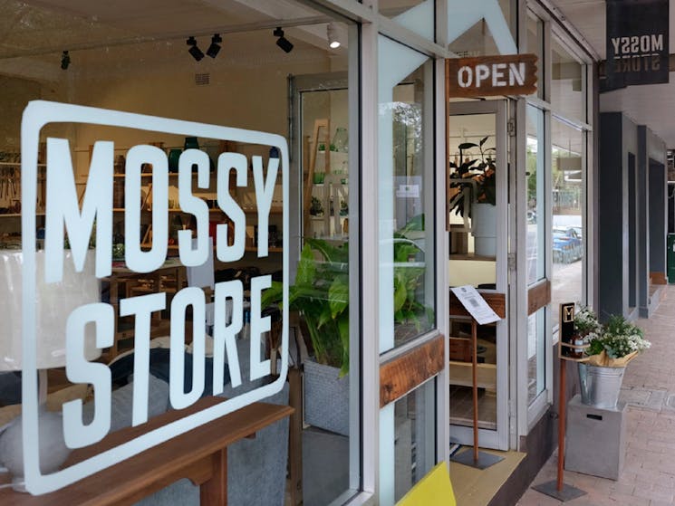 Mossy Store