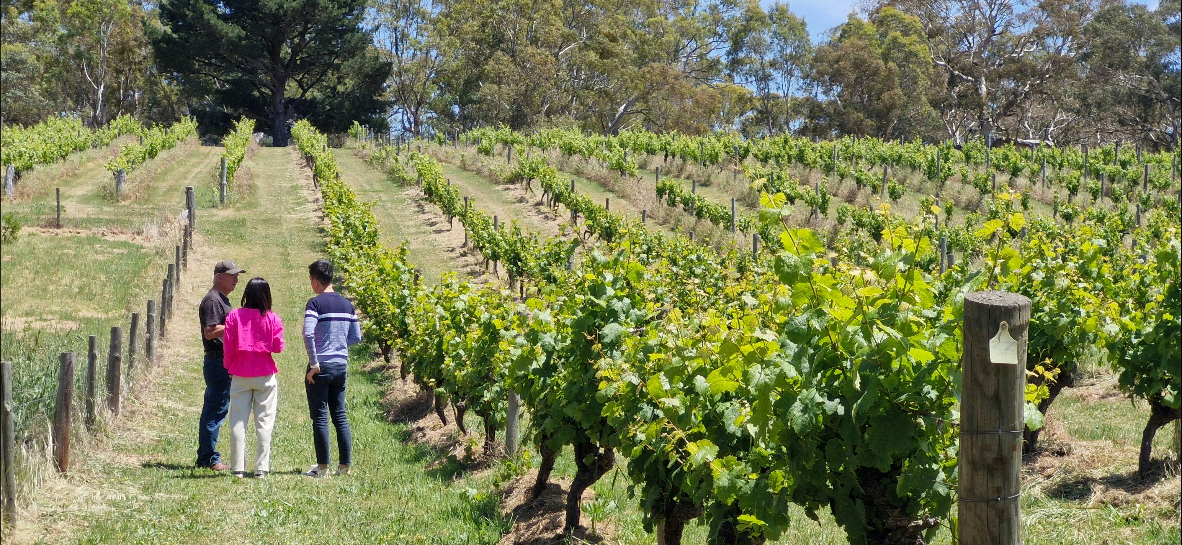 Colin on tour and tasting with guests