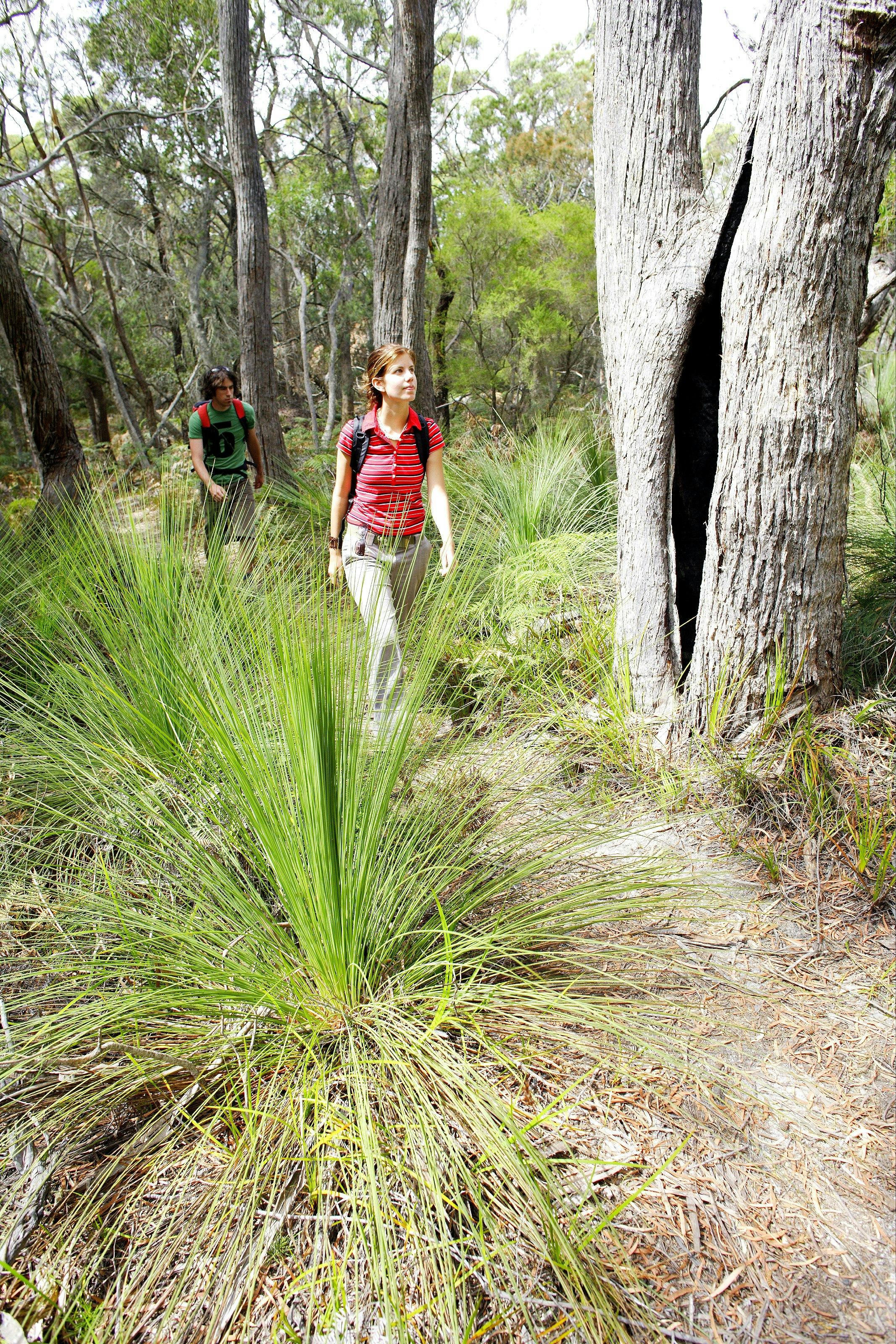 Mount William National Park