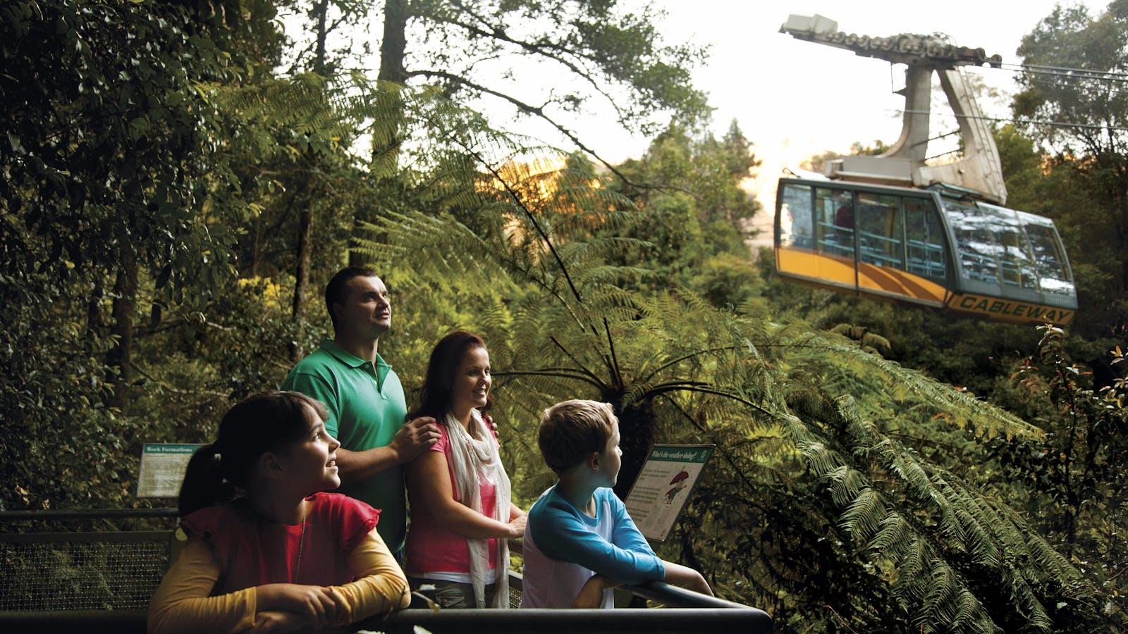 Furber Steps-Scenic Railway Walking Track
