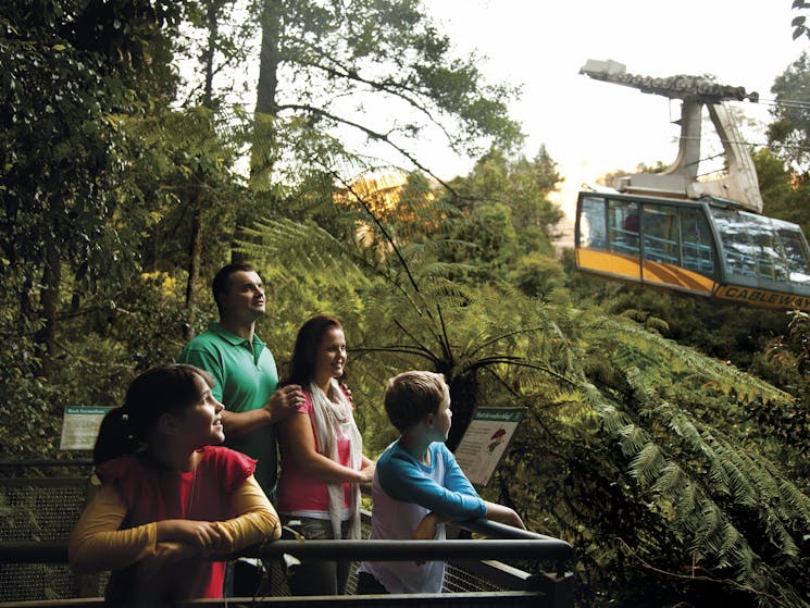 Furber Steps - Scenic World, Blue Mountains