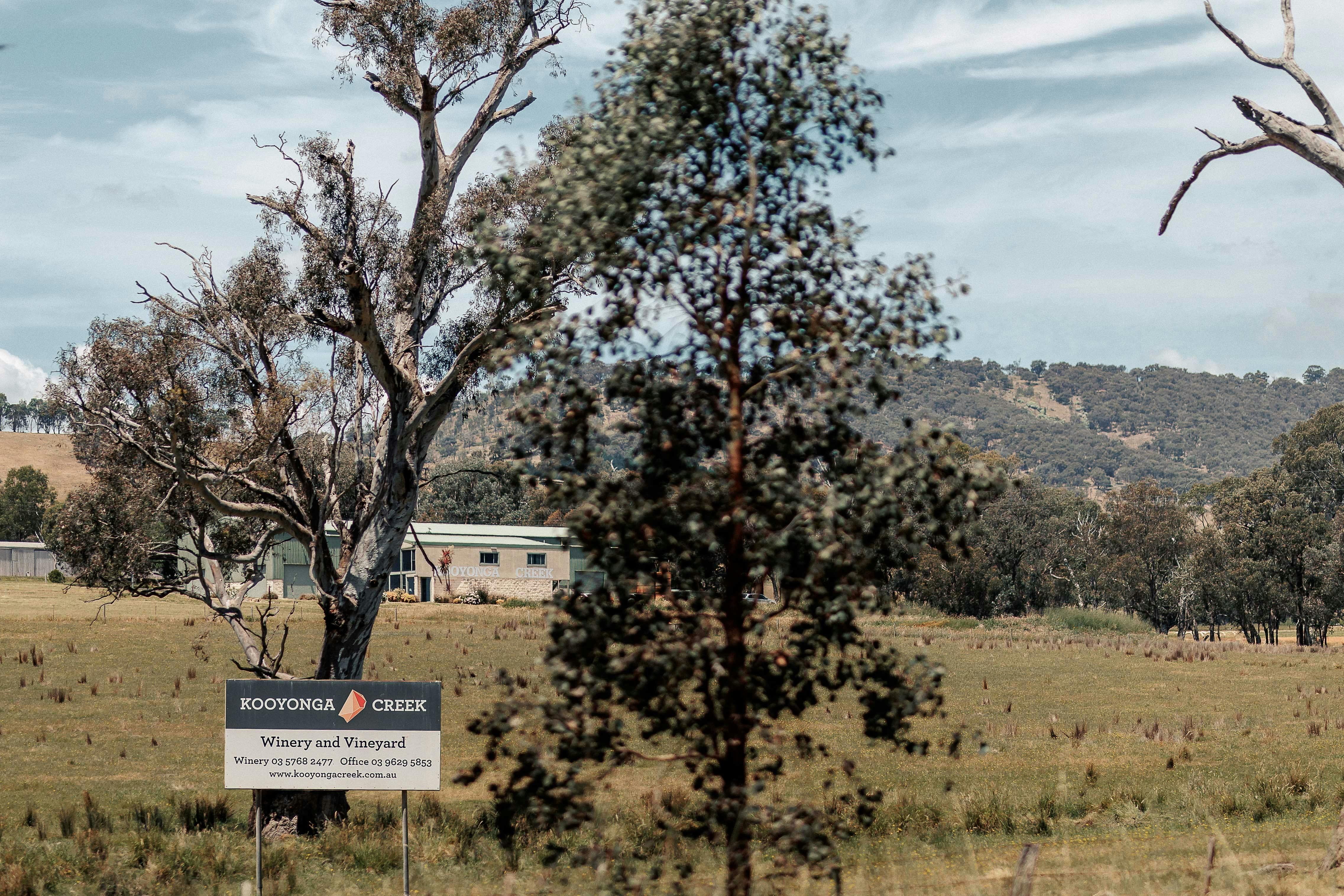 View of Kooyonga Creek Wines Cellar Door from the Road