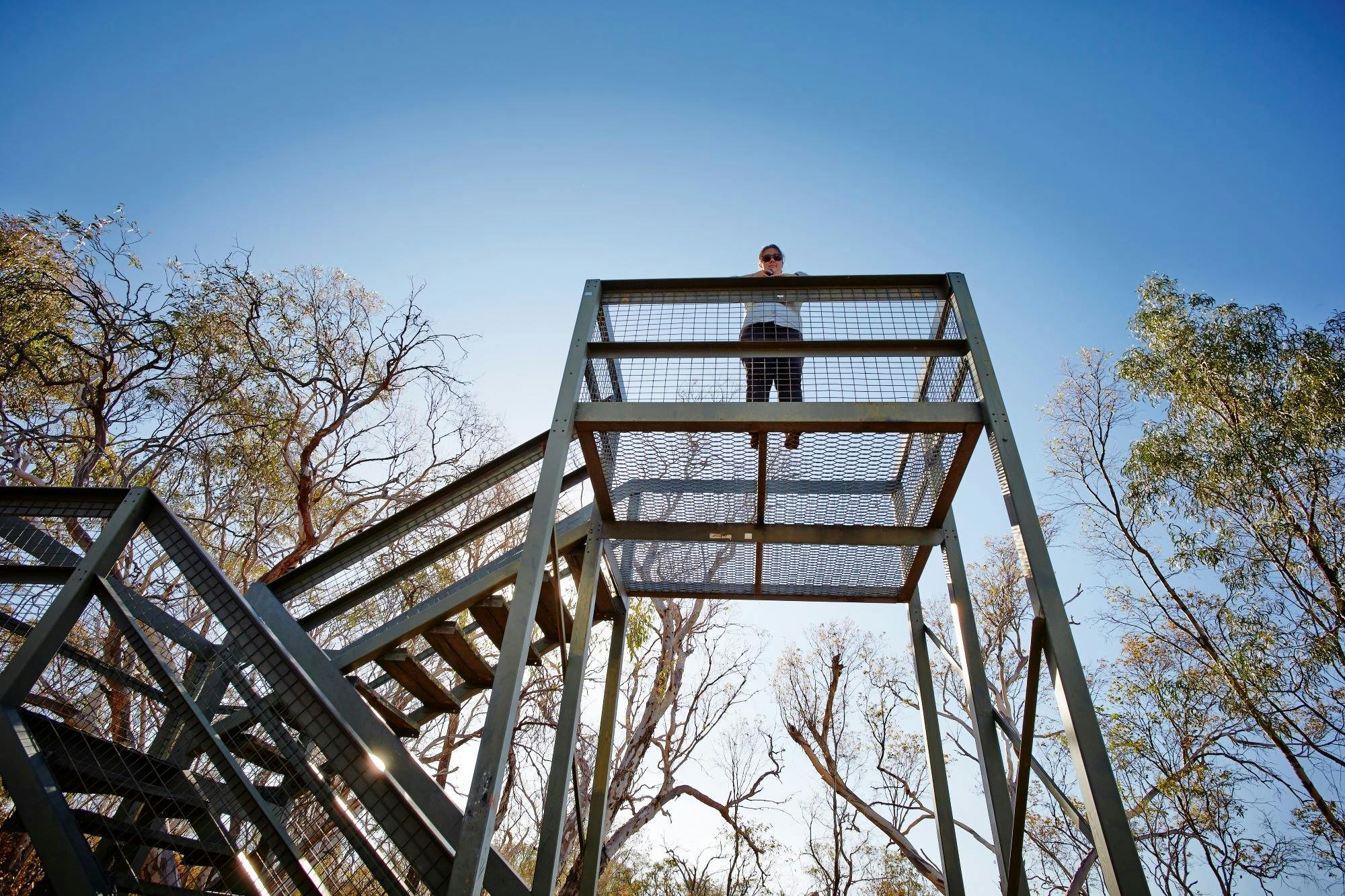 Person standing on lookout tower platform, steps and rails on left side, trees, leaves, blue sky