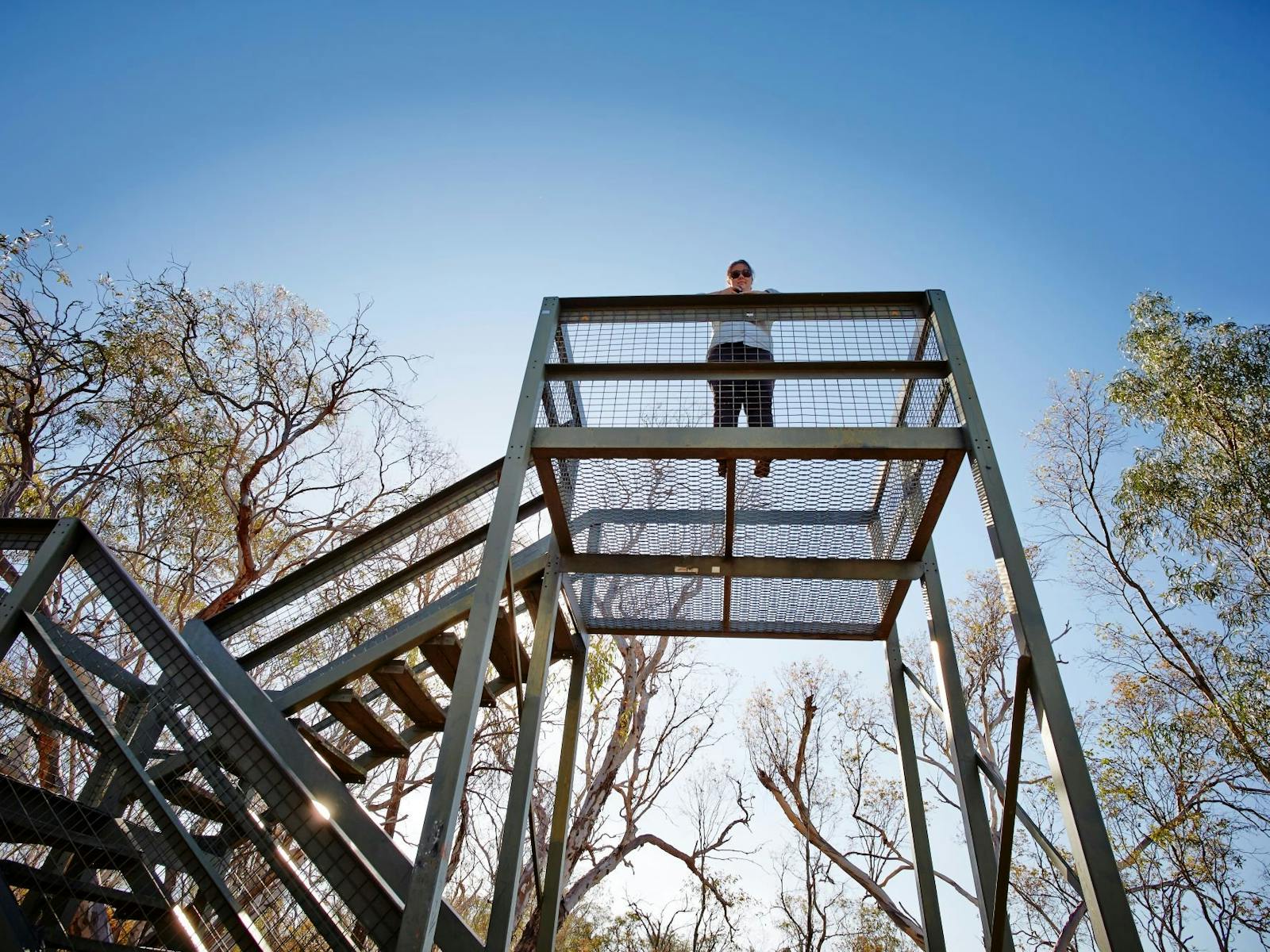Person standing on lookout tower platform, steps and rails on left side, trees, leaves, blue sky