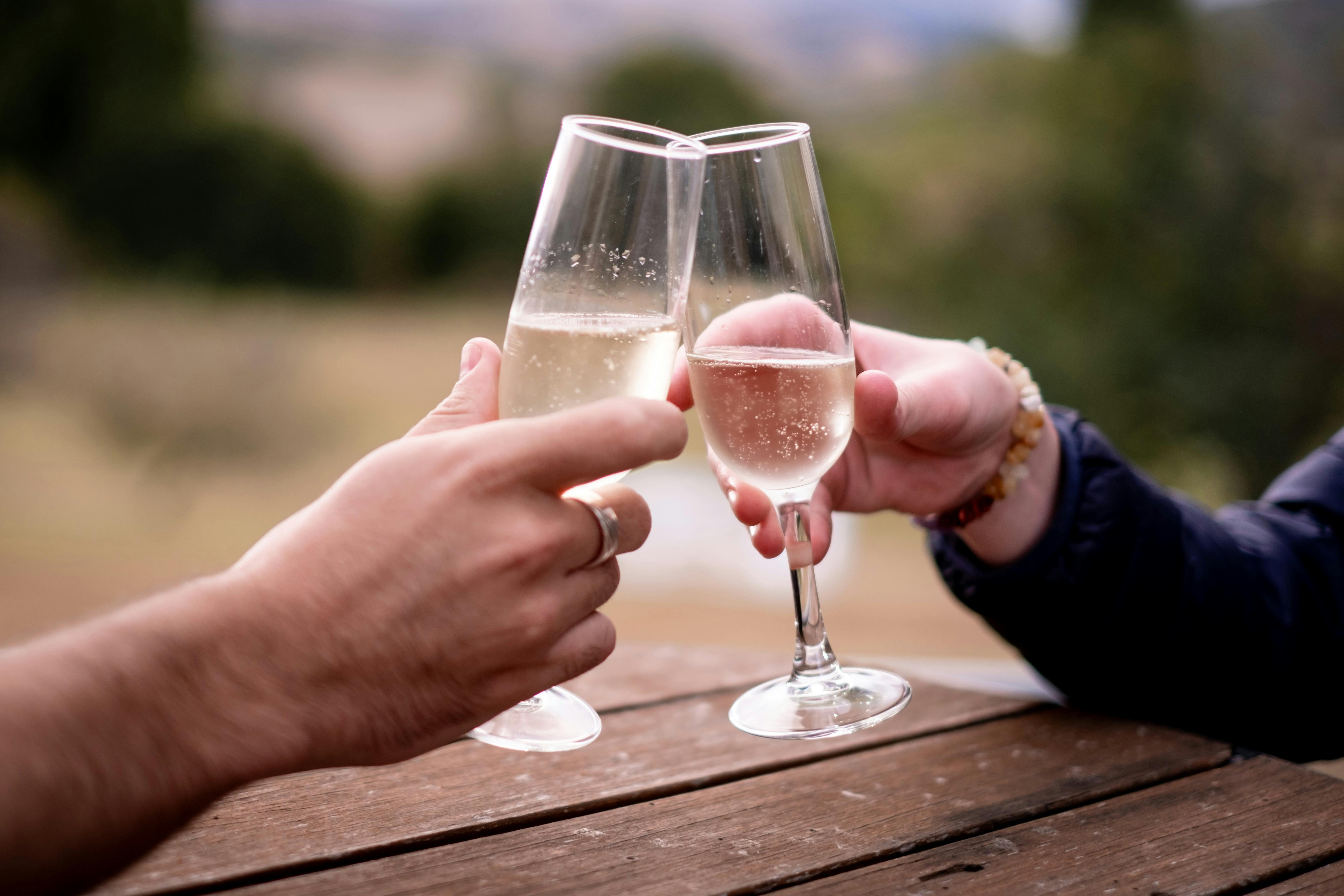 Two people clinking champagne glasses at Lanyon Homestead