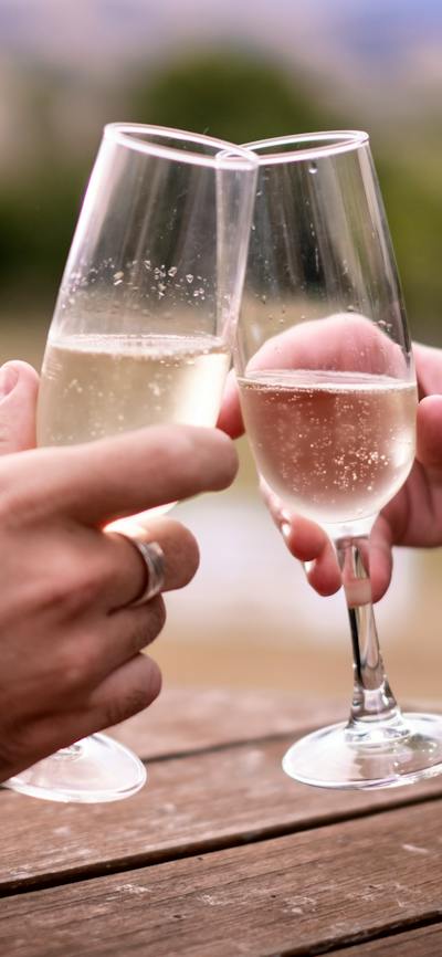 Two people clinking champagne glasses at Lanyon Homestead
