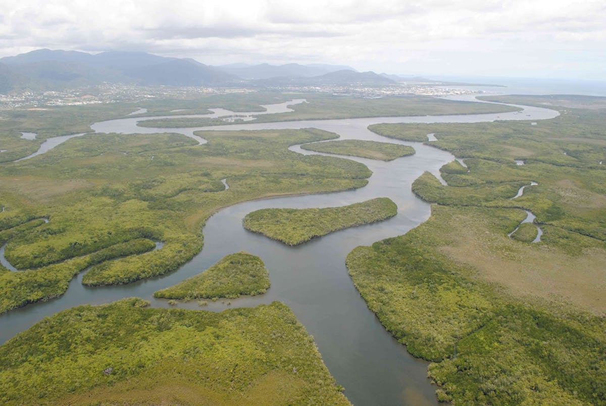 Trinity inlet