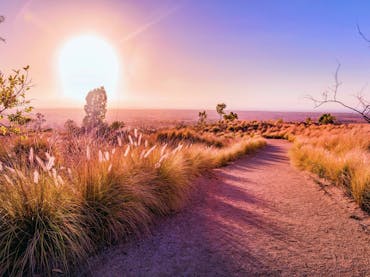 Sun looking over grassland with path