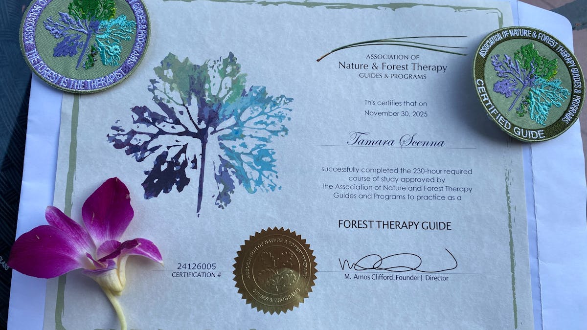 Certificate naming Tamara Scenna as a certified forest therapy guide