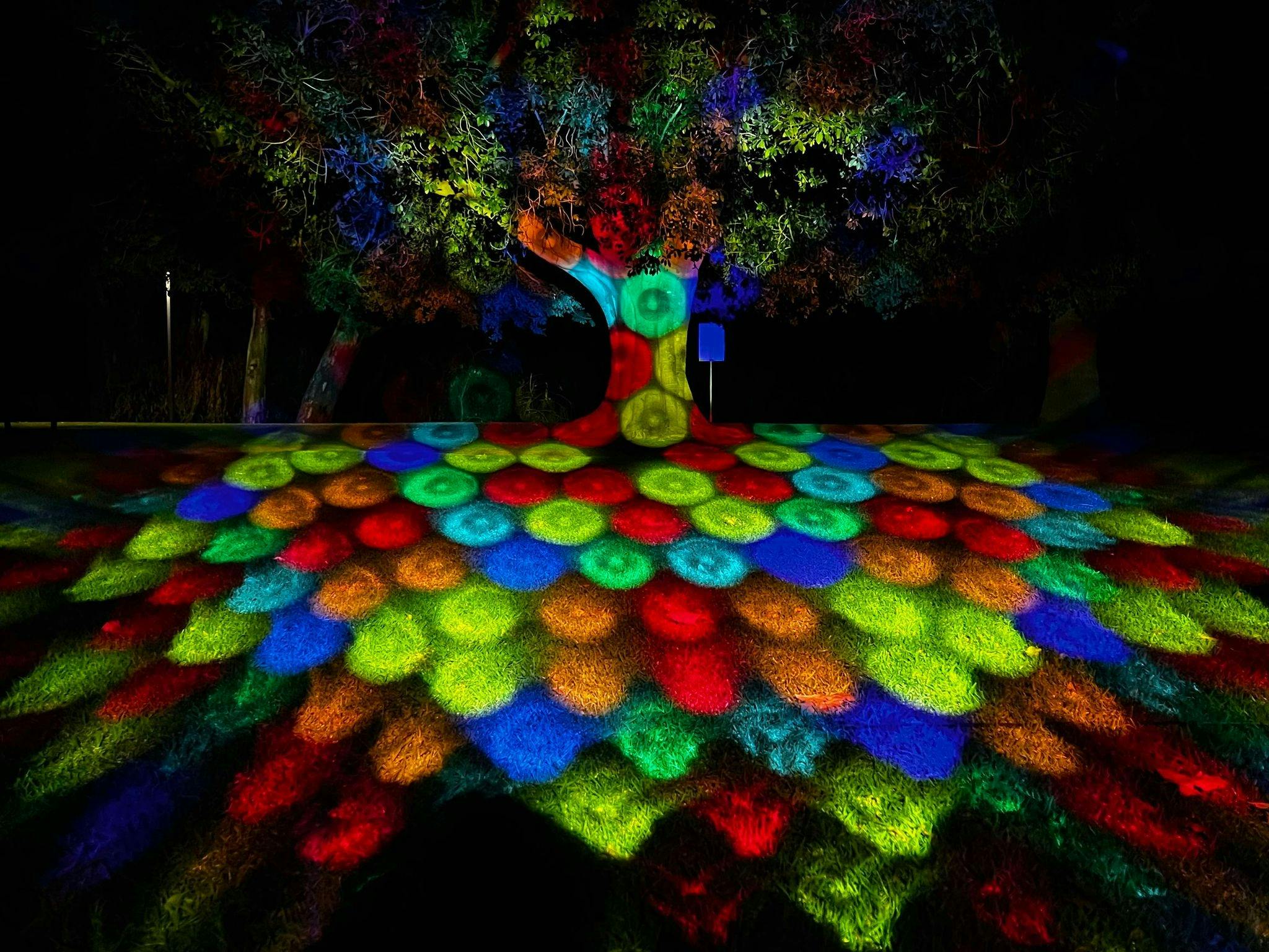 Lighting Installations Jarrett Gardens
