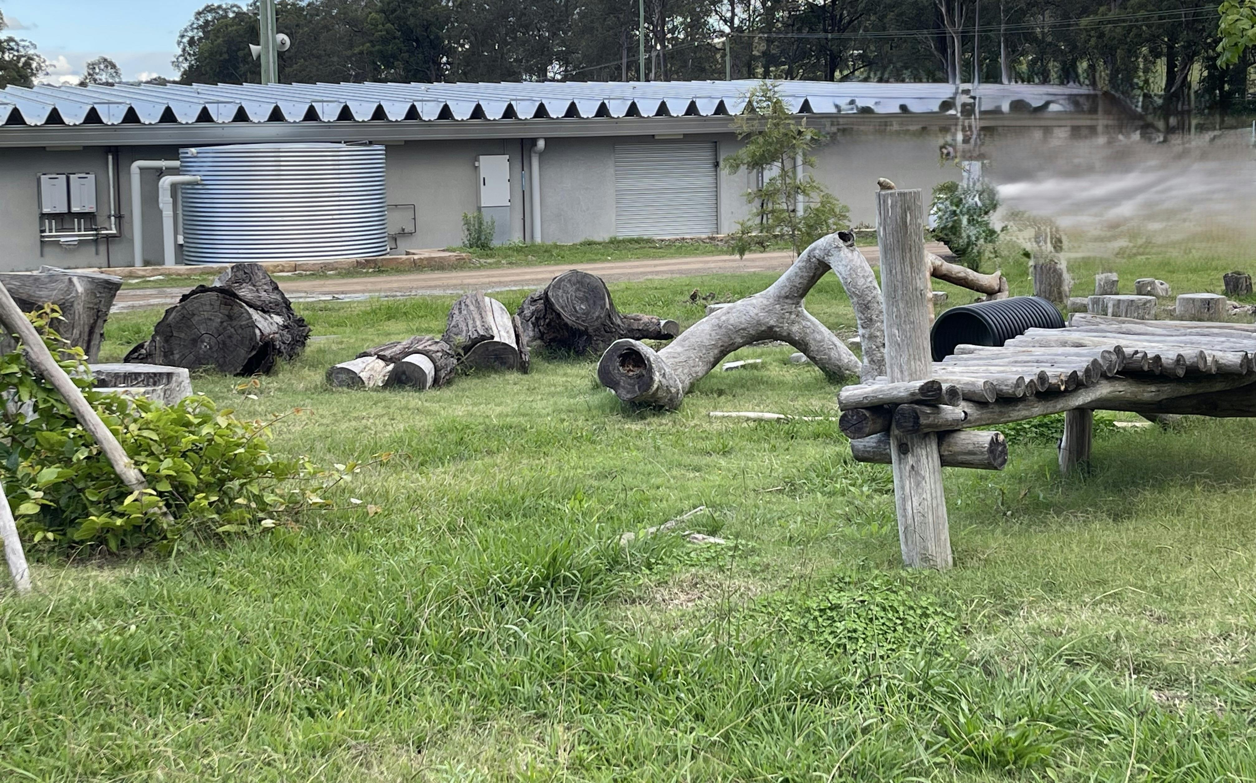 Arboretum sculptures
