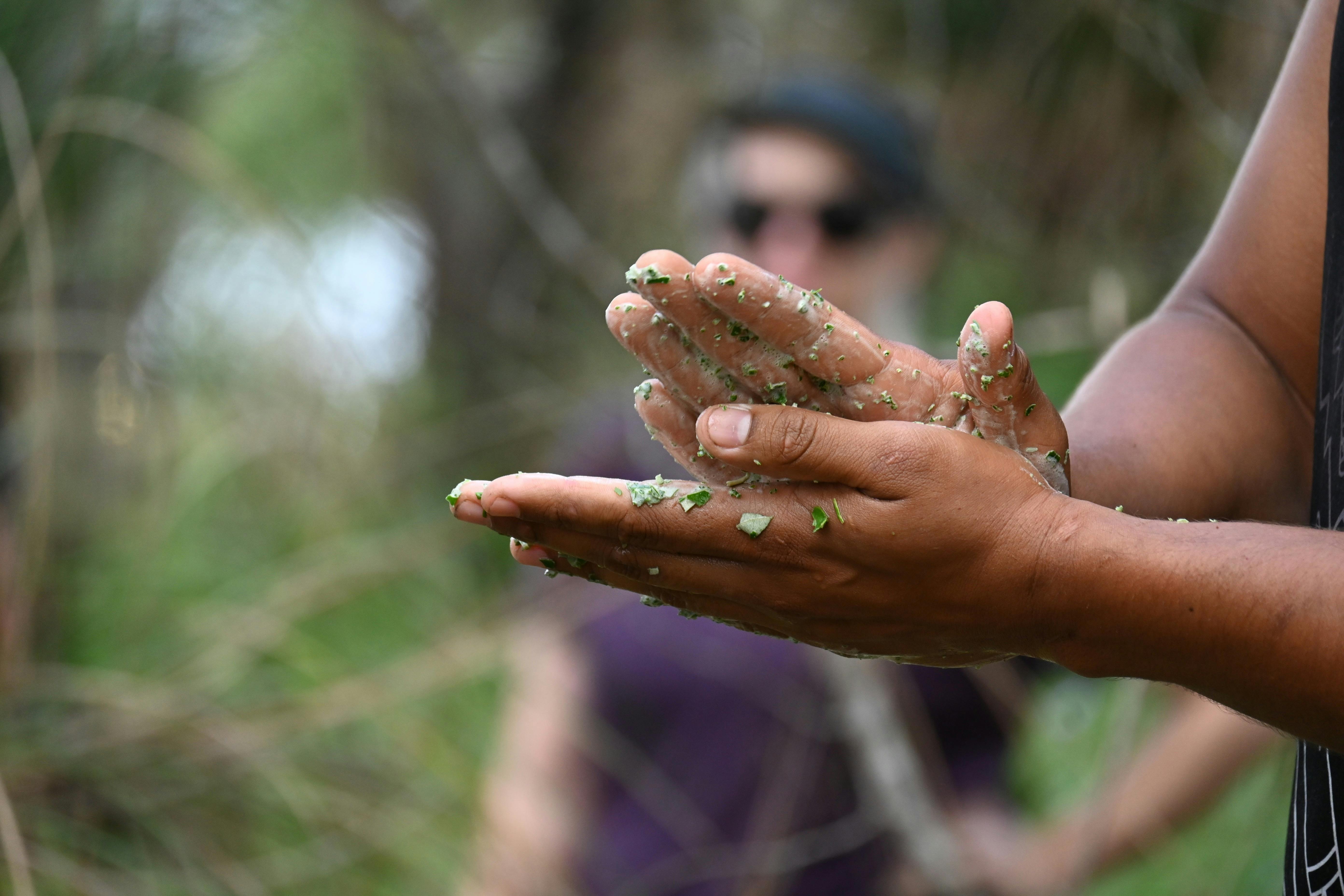 Bush Medicines Found onsite