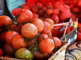 Tomatoes at the Farmers Market