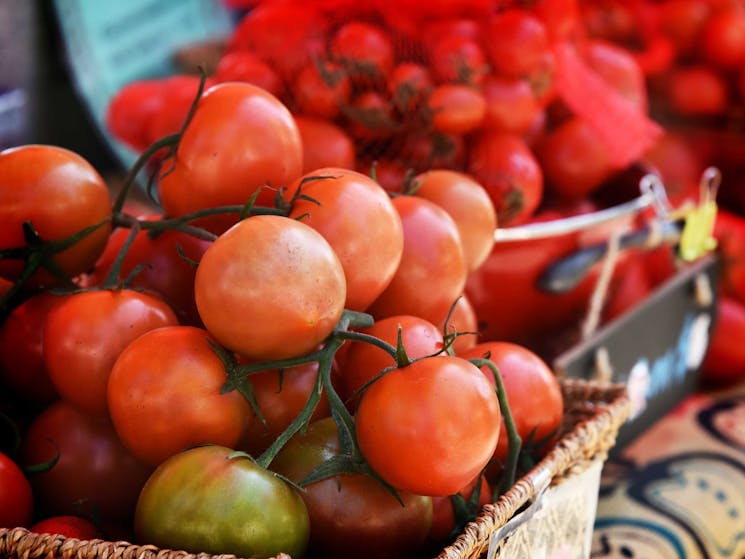 Tomatoes at the Farmers Market