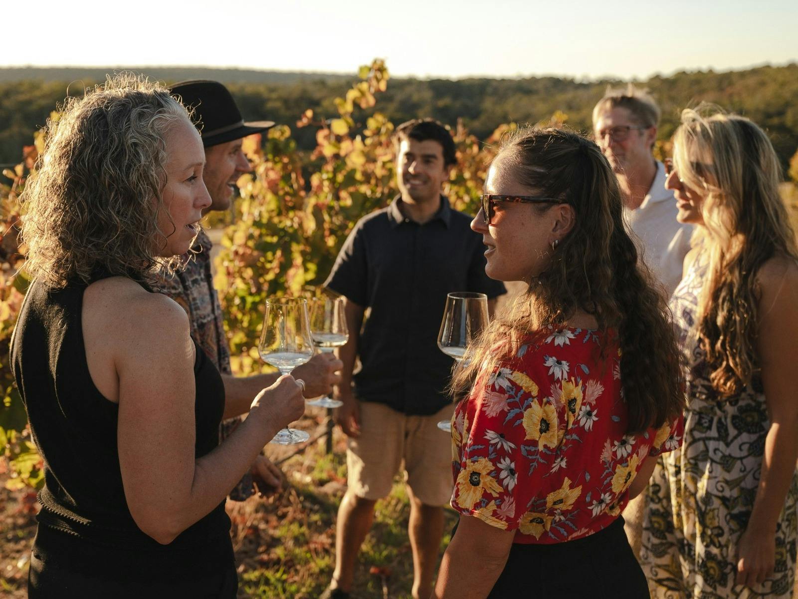 Private wine tasting amongst the vines
