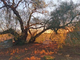 Peppertree sunset GCR