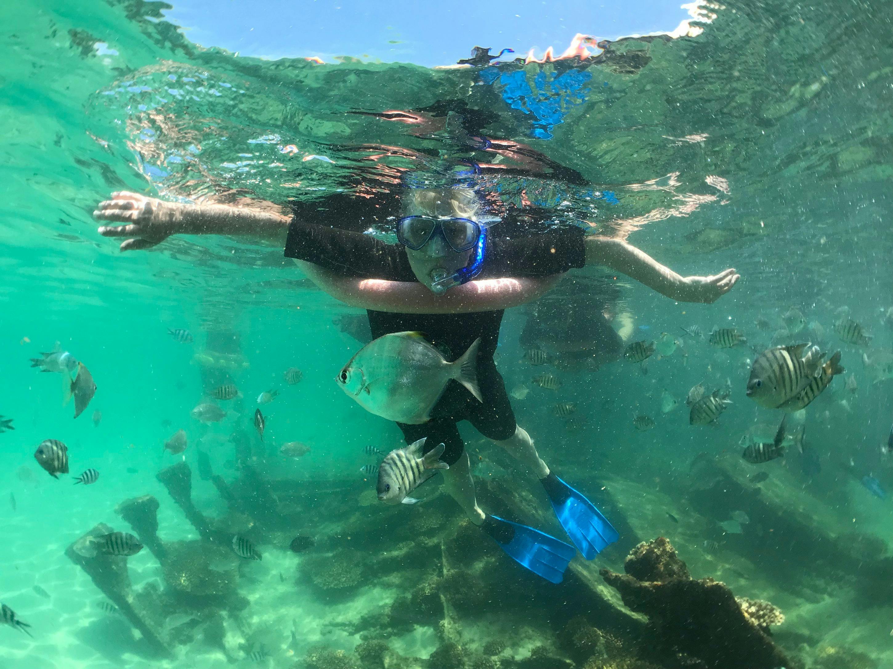 Moreton Island Snorkeling Tour