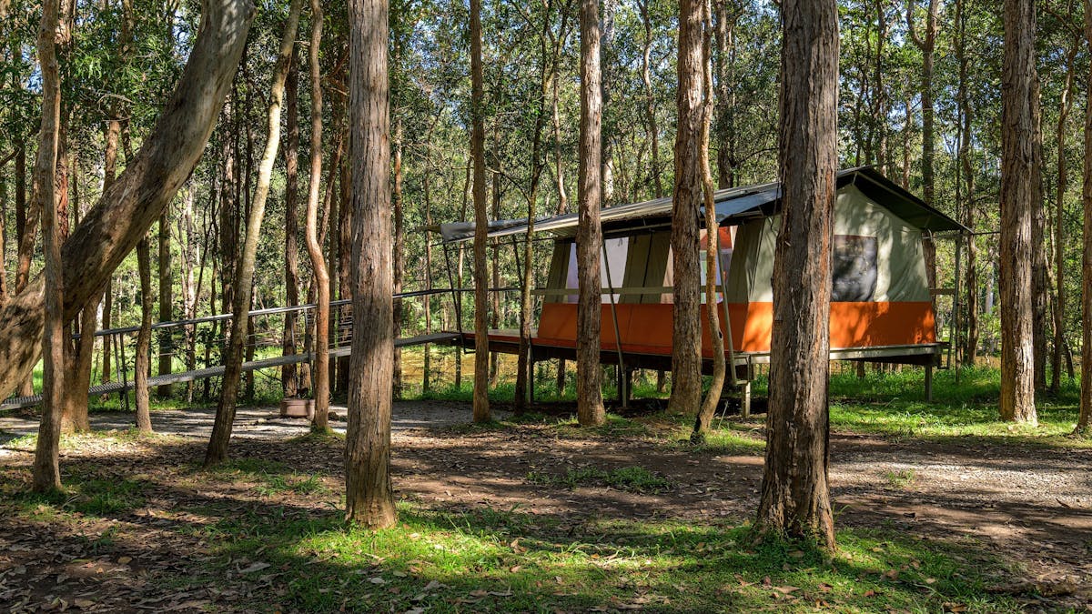 Cabin Style Tent 4-6 pax