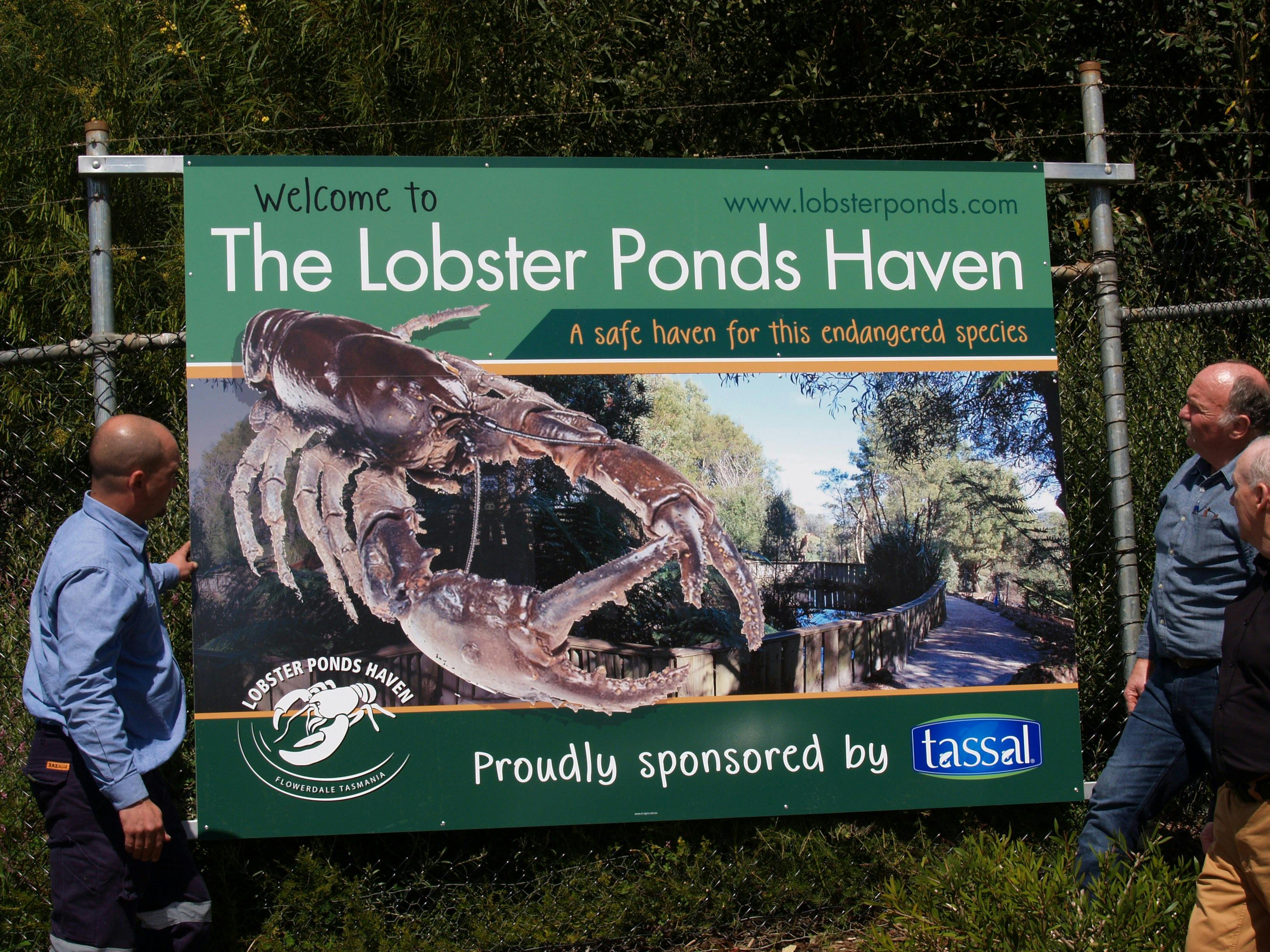 Lobster Ponds