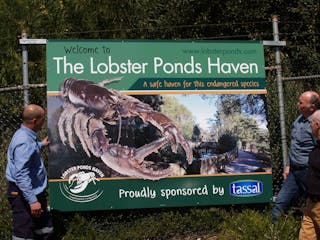 Lobster Ponds