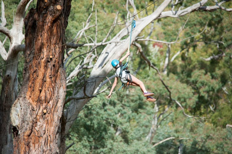 Rock Climb Zipline and Mega Swing Experience at the Mount Lofty Adventure Hub
