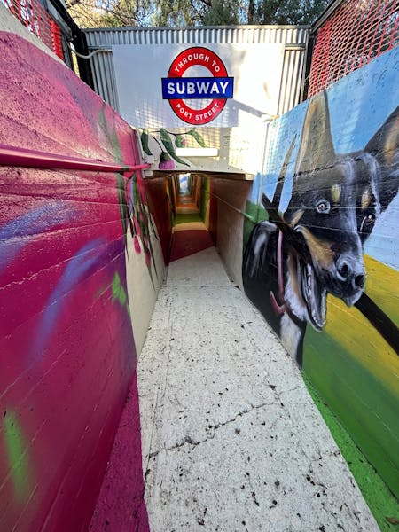 Gladstone Subway Mural