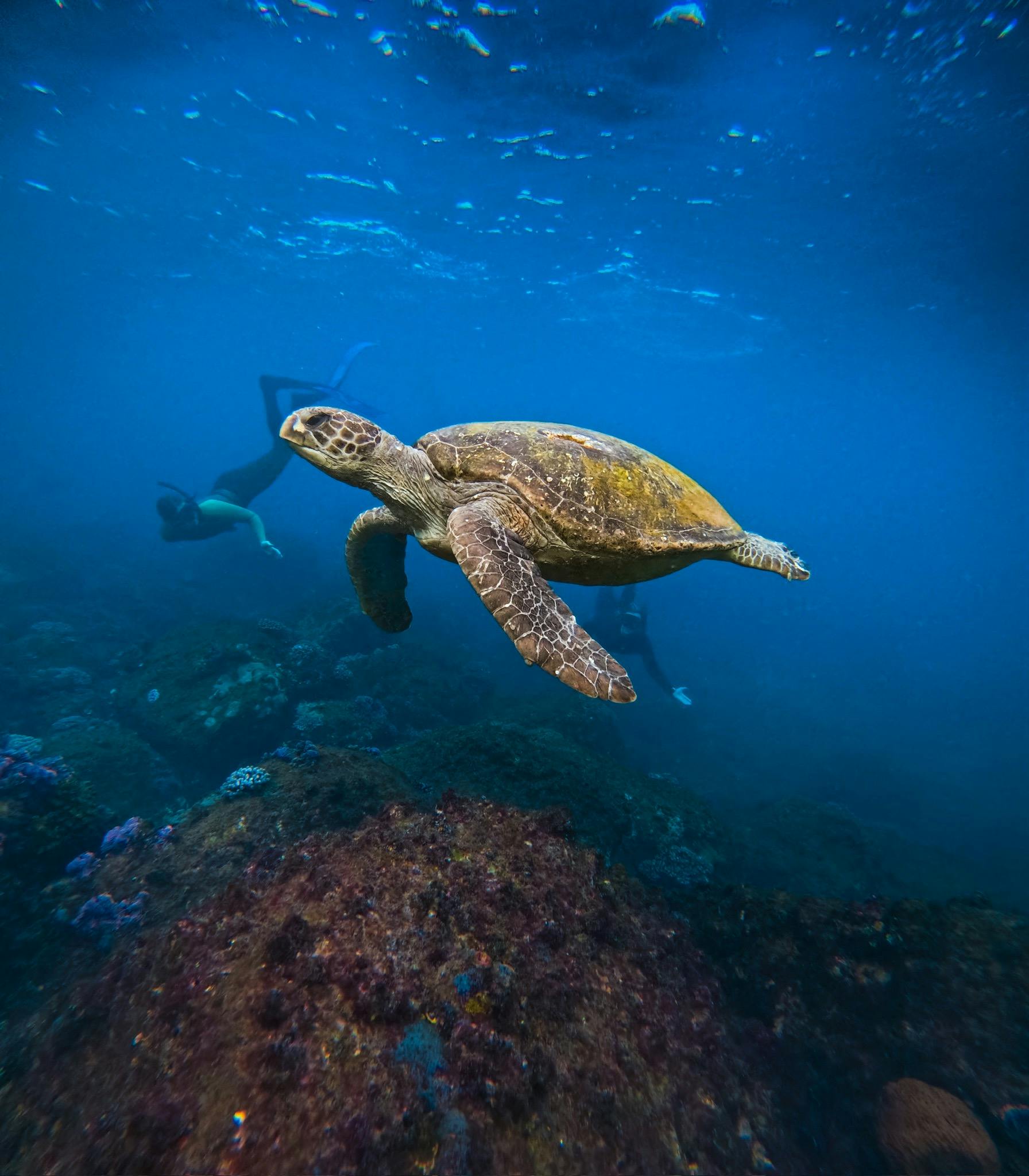 Book for 3 or more and get 10% off.